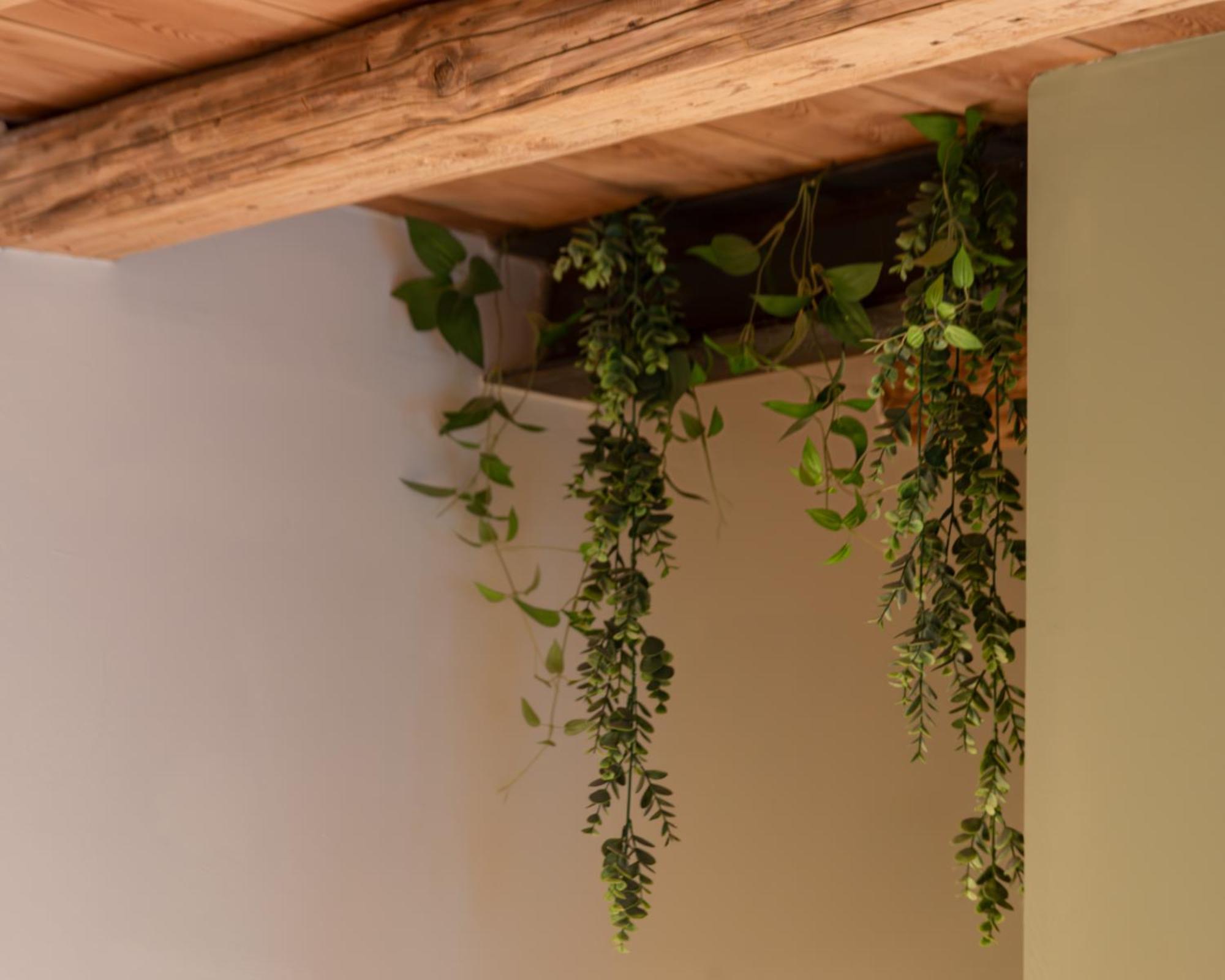 Bacaria Bed&Breakfast Bassano del Grappa Exterior foto